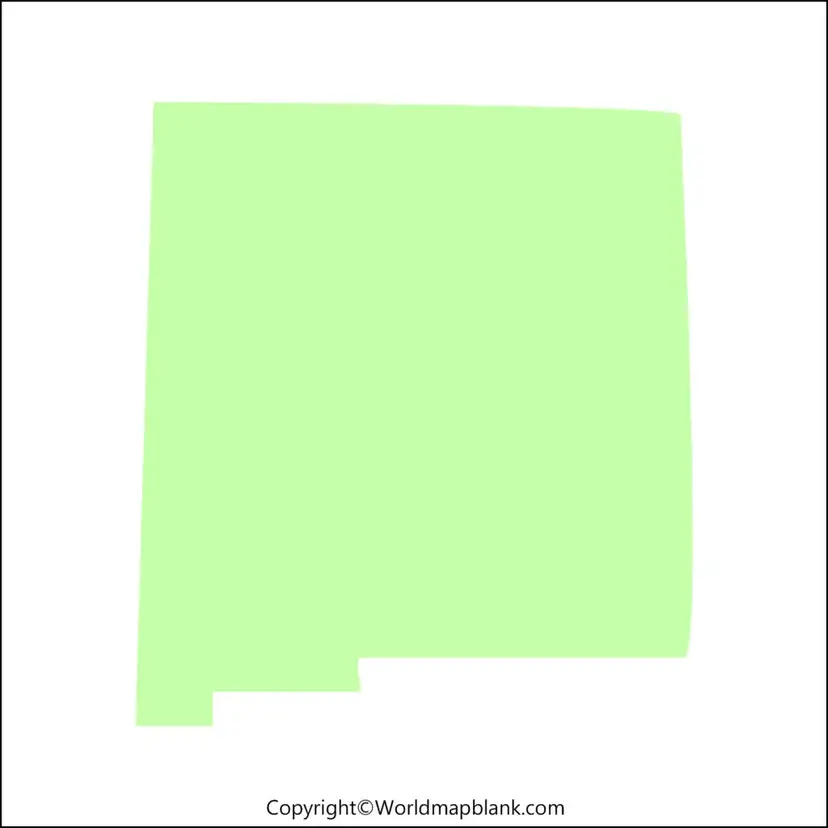 Blank New Mexico Map worksheet