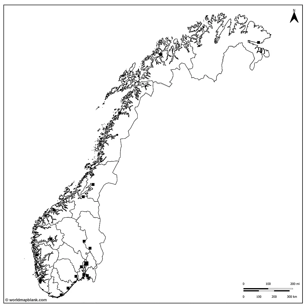 Blank Norway Map with Cities and Towns